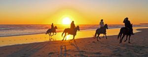 Beach Sunset Horse Back Riding