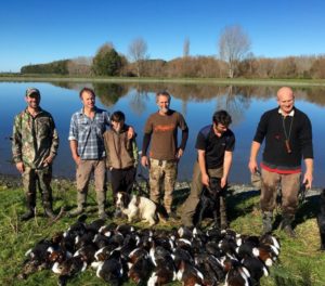 Duck Hunting New Zealand